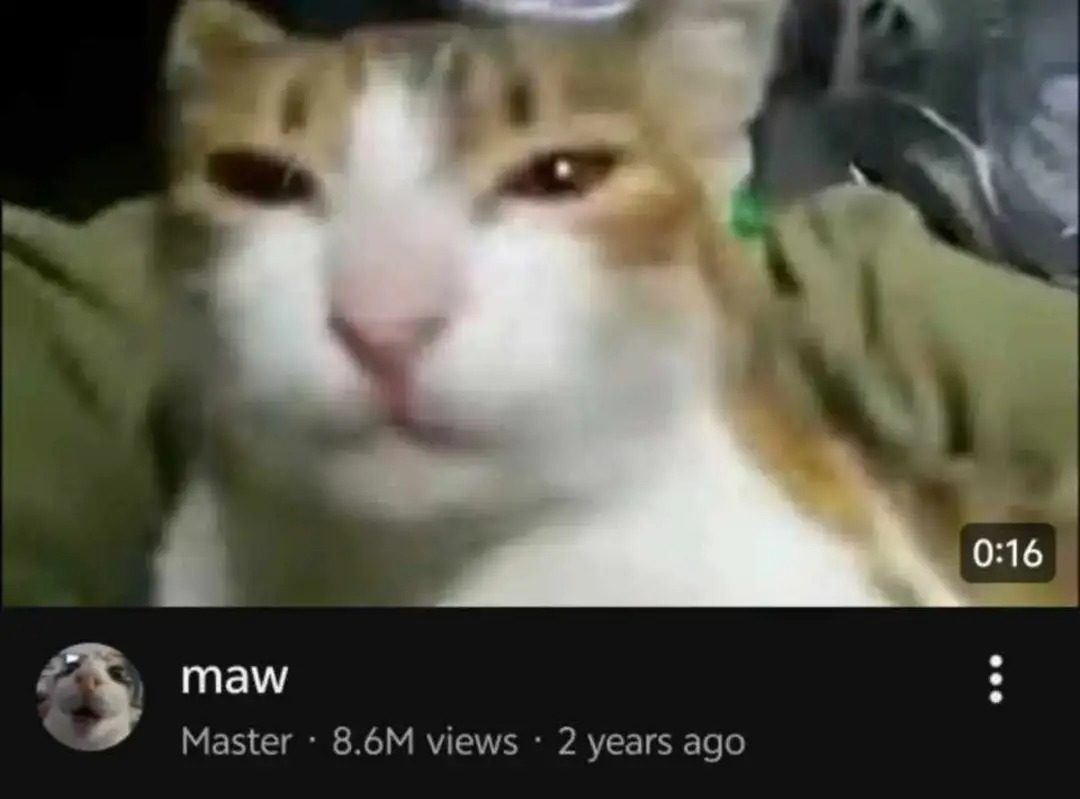 Maw